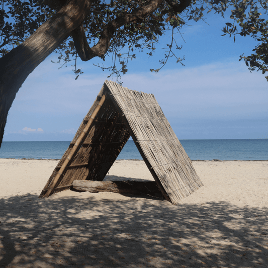 Traditional Wayuu-style hut made of wooden poles and palm thatch, set on a sandy beach under a tree with a view of the ocean.
