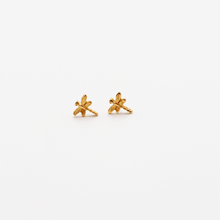 Load image into Gallery viewer, Catalina Earrings - Origin Colombia
